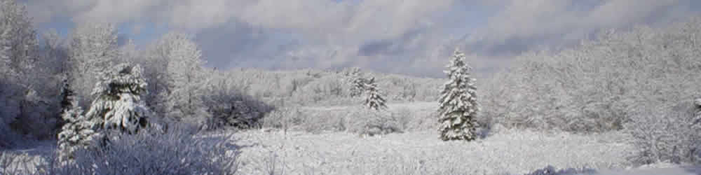Winter in Almaguin